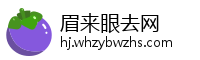 眉来眼去网